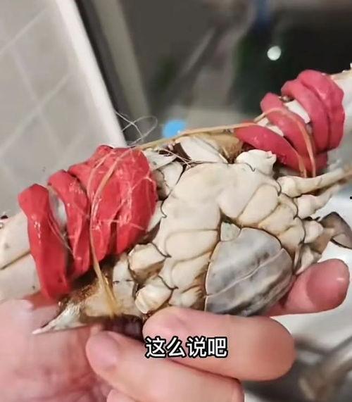 如何绑螃蟹视频,螃蟹绑扎技巧,跟随视频教程,告别手忙脚乱