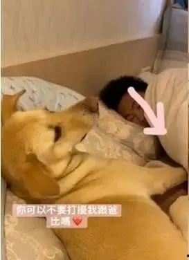 汪成功视频,揭秘成功背后的故事与智慧