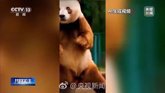 转眼球视频,揭秘眼球运动背后的奥秘